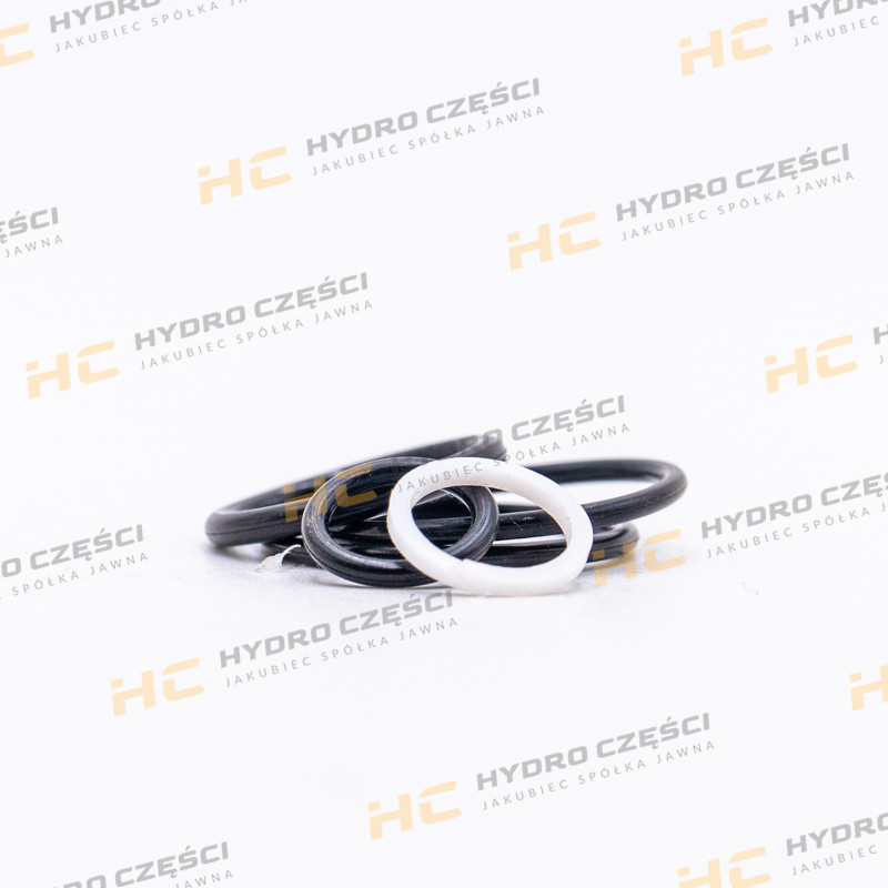 JCB Комплект для ремонта клапанного блока - AZERI PARTS