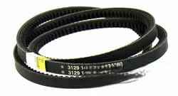 3129140R1 Пас
