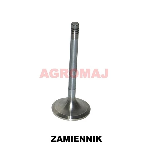 f385200210150-MWM выпускной клапан Td226-B3 TD226-B6