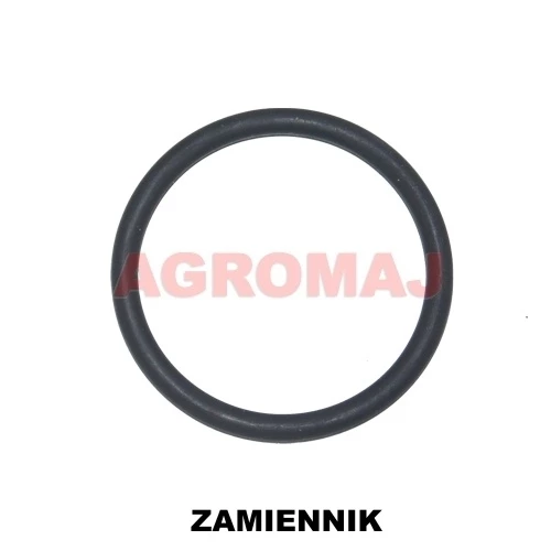01319139- SAME Уплотнение ТНВД TCD4L20122V BF4M2012C