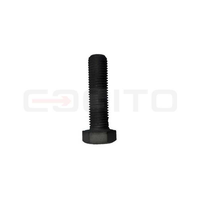 ШЕСТИГРАННЫЙ ВИНТ M16X60MM